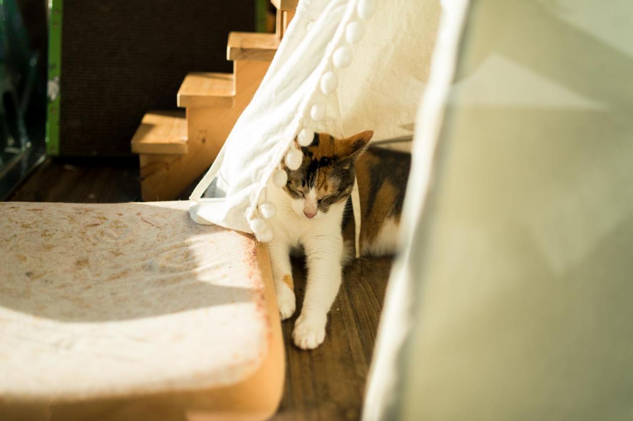 Hello Make Yourself At Home Kenting Εξωτερικό φωτογραφία